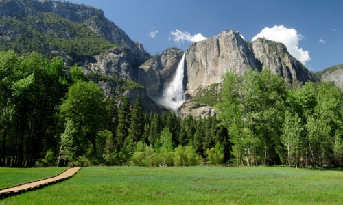 Yosemite Meadow & Waterfall